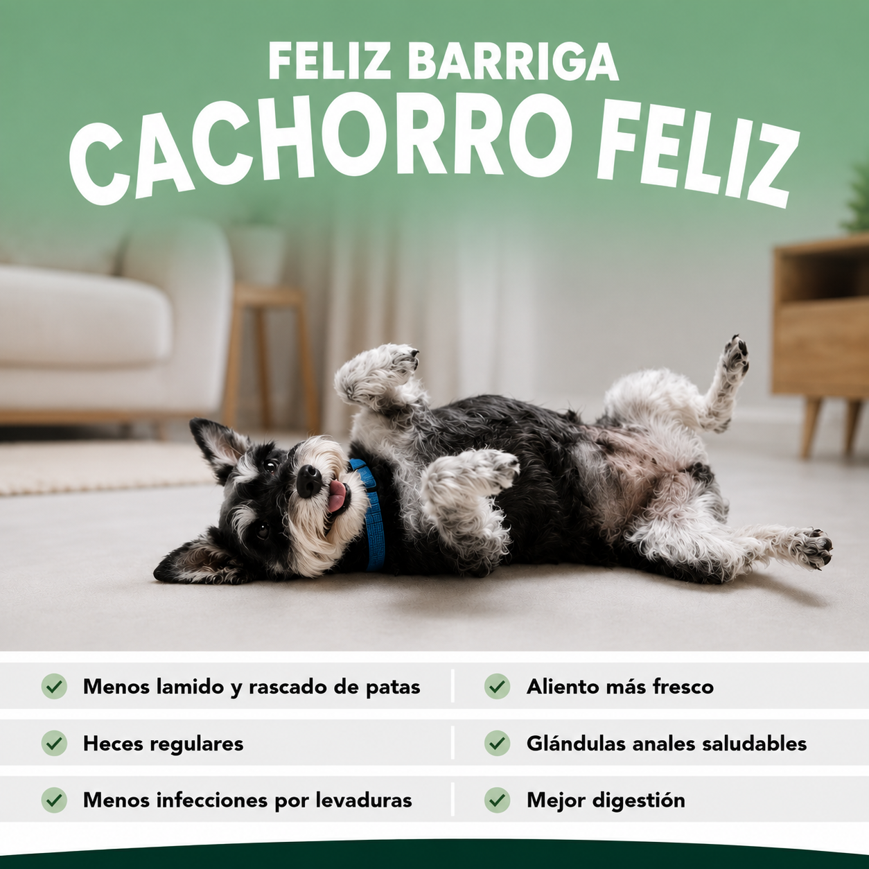 Feliz barriga, cachorro feliz