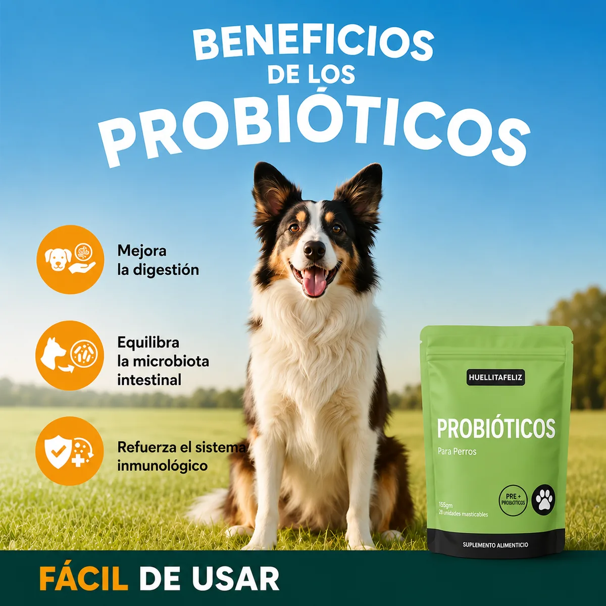 Beneficios de los probióticos para perros