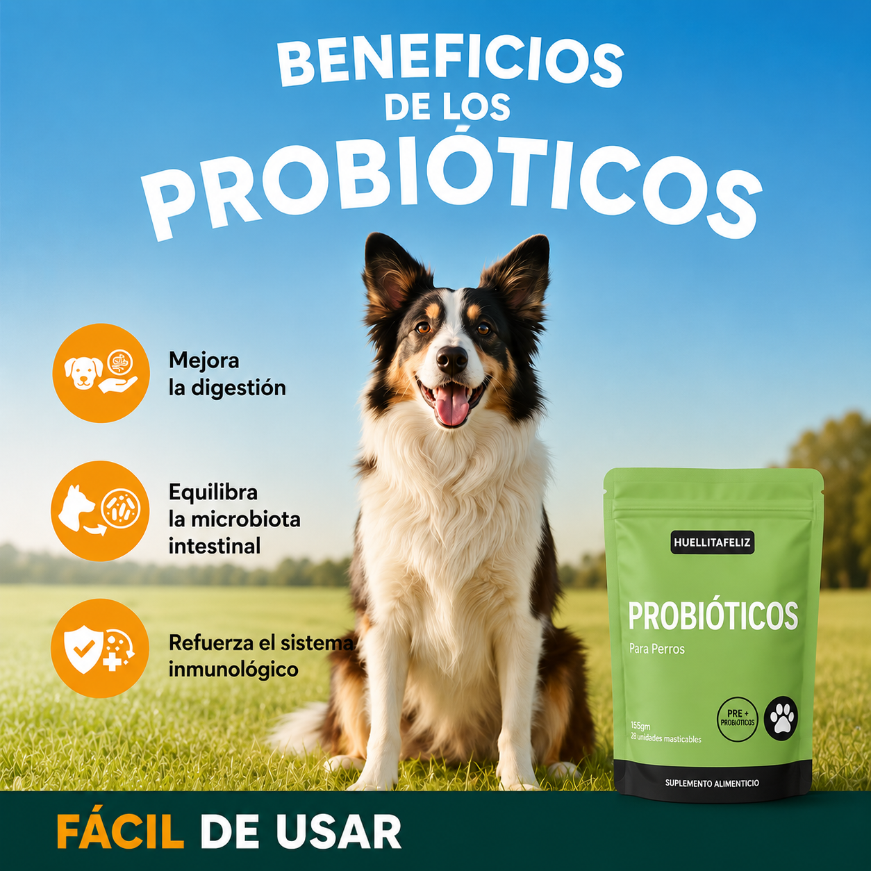 Beneficios de los probióticos para perros