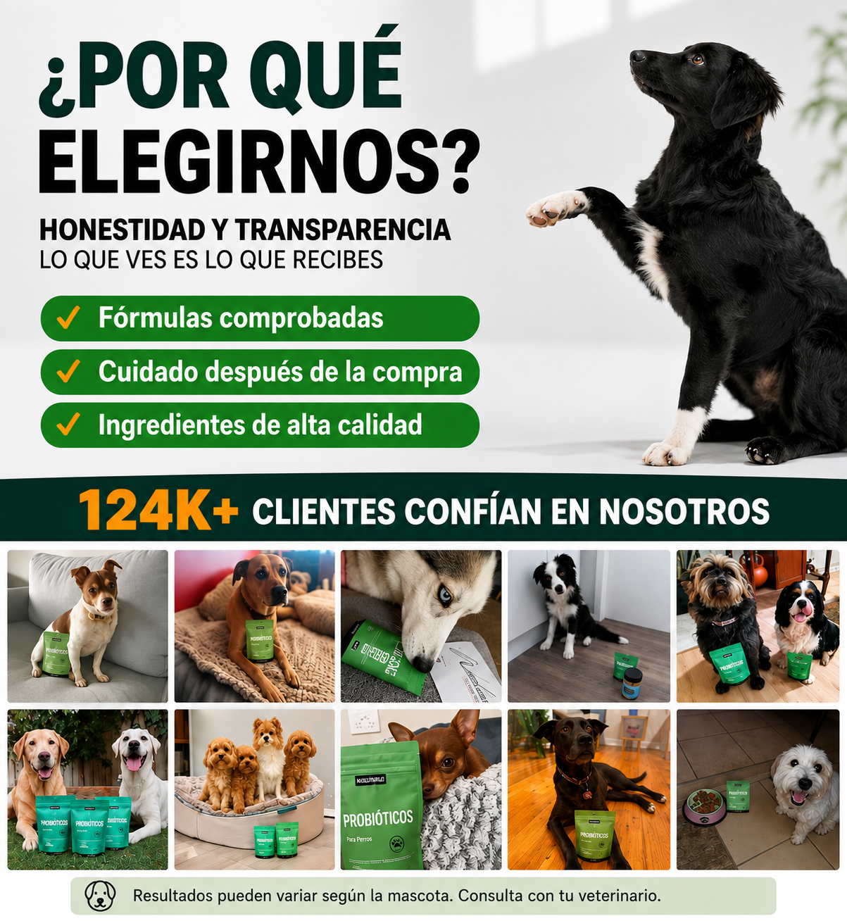 Por qué elegirnos: más de 15.000 clientes