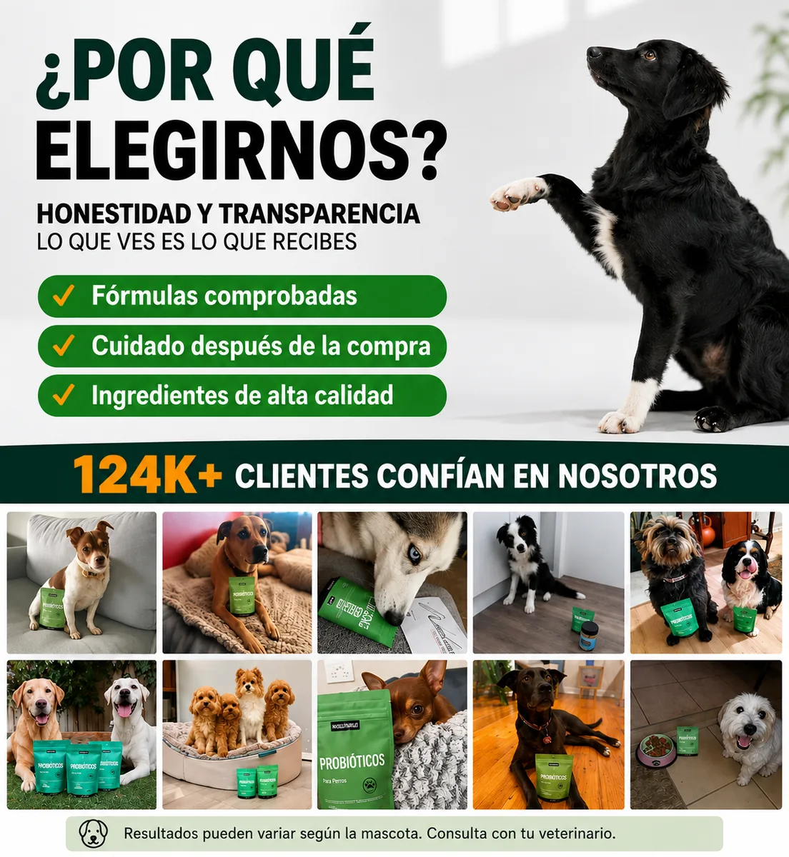 Por qué elegirnos: más de 15.000 clientes