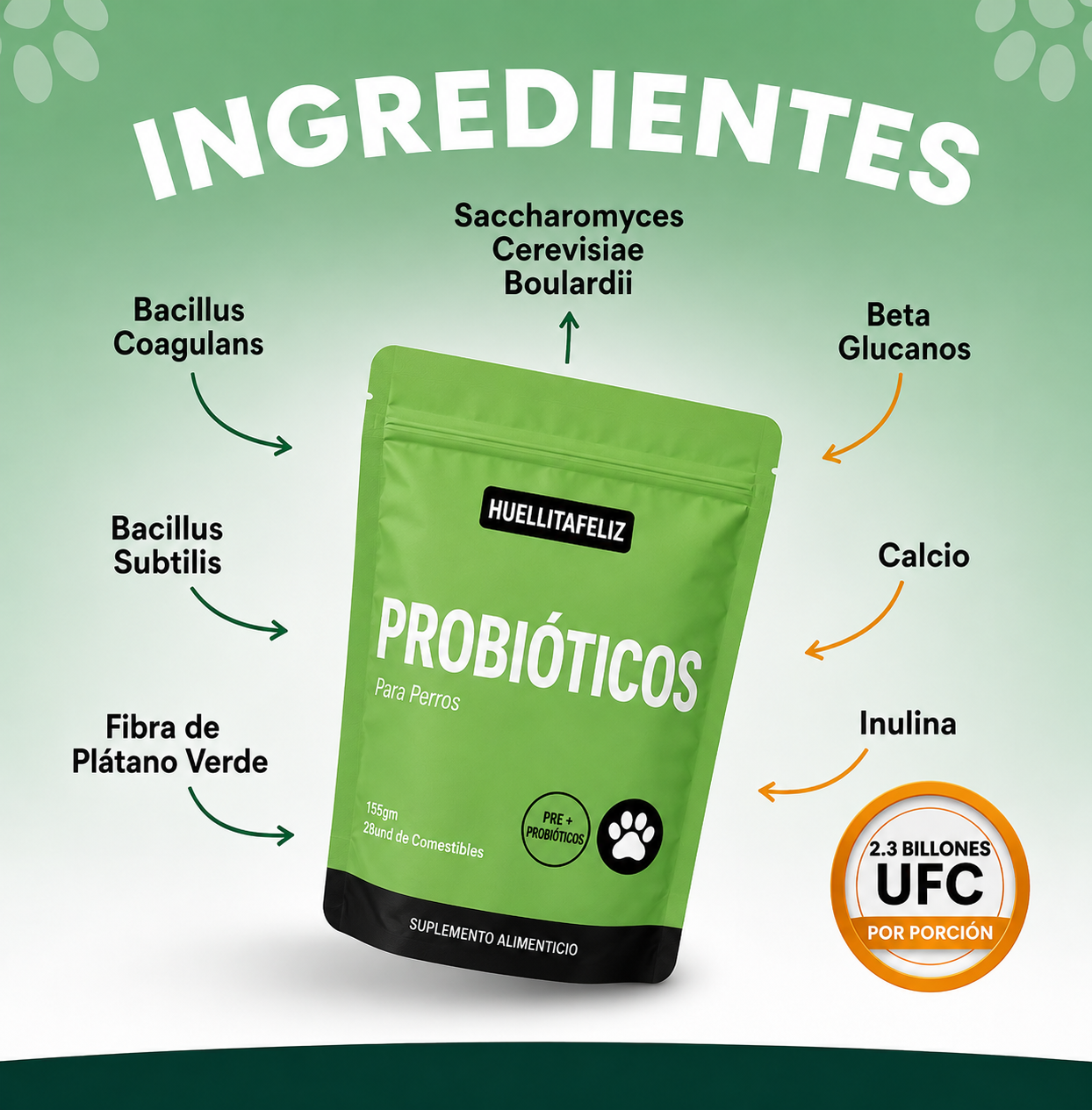 Ingredientes de los probióticos para perros